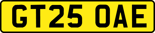 GT25OAE