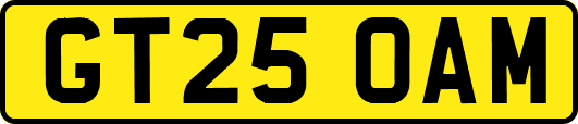 GT25OAM