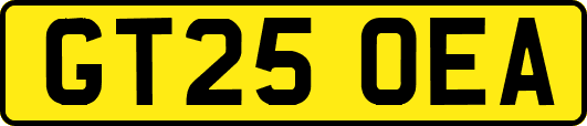 GT25OEA