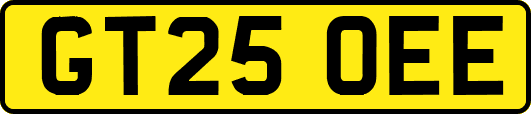 GT25OEE