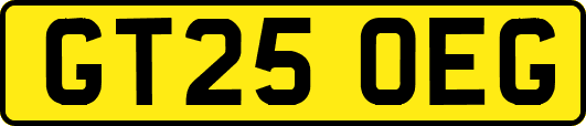 GT25OEG