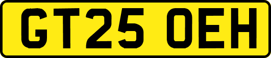 GT25OEH