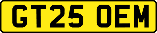GT25OEM