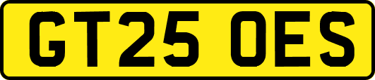 GT25OES
