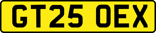 GT25OEX