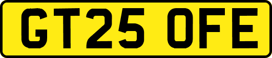 GT25OFE