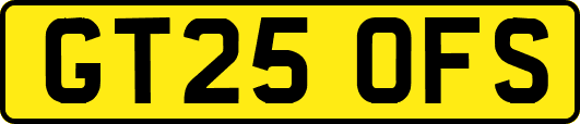 GT25OFS