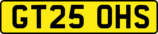GT25OHS