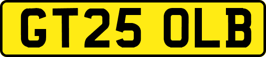 GT25OLB