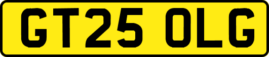 GT25OLG