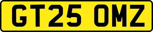 GT25OMZ