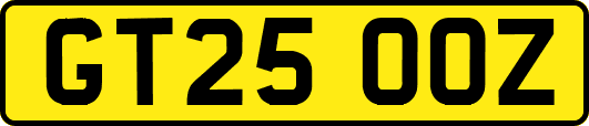 GT25OOZ