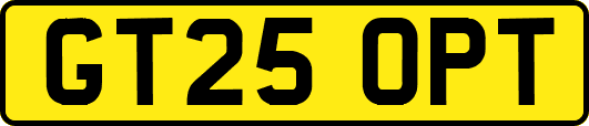 GT25OPT