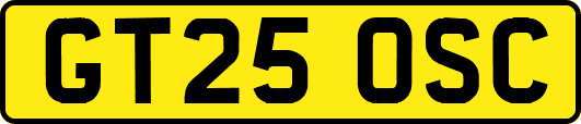GT25OSC