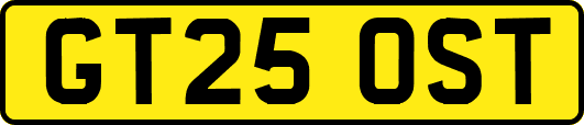GT25OST