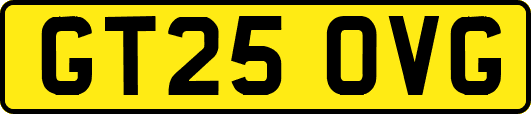 GT25OVG