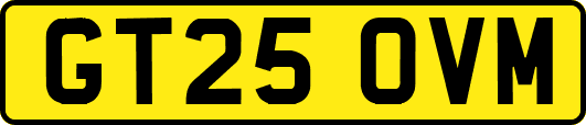 GT25OVM