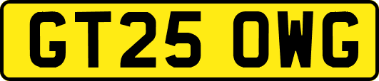 GT25OWG