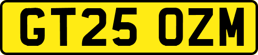 GT25OZM