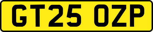 GT25OZP