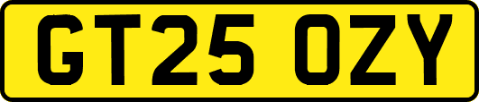 GT25OZY