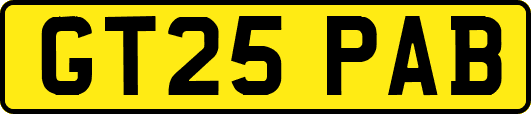 GT25PAB