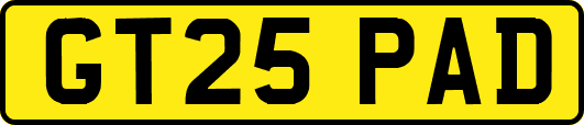 GT25PAD