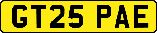 GT25PAE