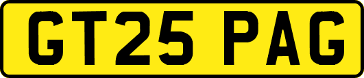GT25PAG
