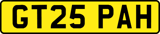 GT25PAH