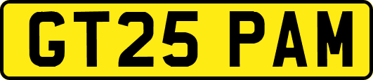 GT25PAM