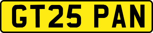 GT25PAN