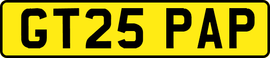 GT25PAP