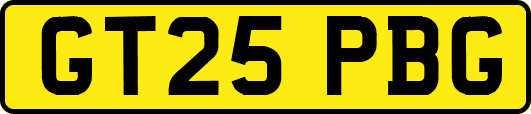 GT25PBG