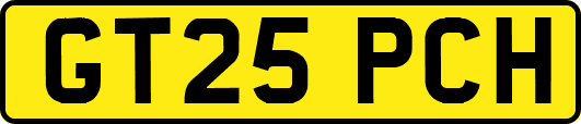 GT25PCH