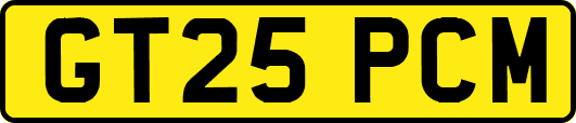GT25PCM