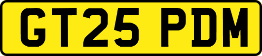 GT25PDM