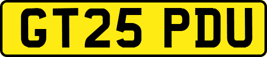 GT25PDU