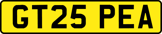 GT25PEA