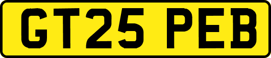 GT25PEB