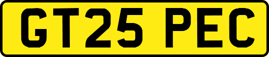 GT25PEC