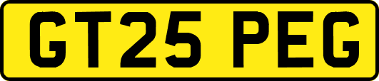 GT25PEG