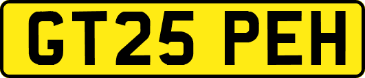 GT25PEH