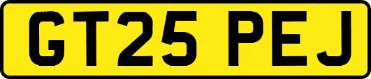GT25PEJ