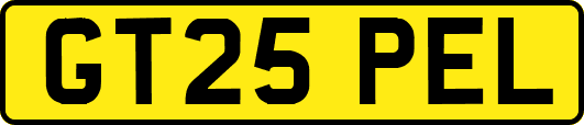 GT25PEL