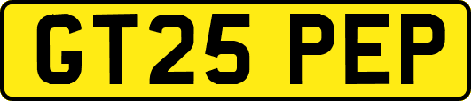 GT25PEP