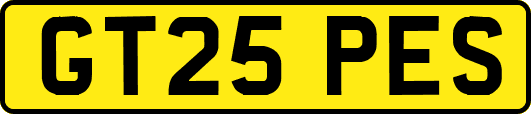 GT25PES