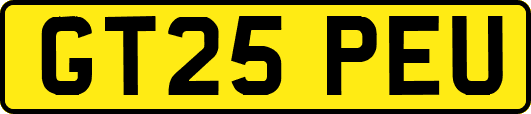 GT25PEU