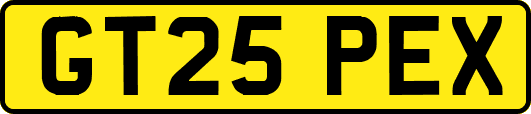 GT25PEX