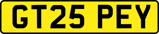 GT25PEY